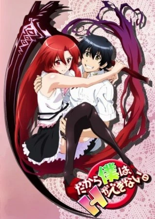 Anime Dakara Boku wa H ga Dekinai Sub Indo